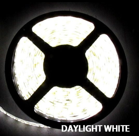 5050SMD 24V Daylight White Flexible LED Light Strip 16 Ft Reel Only - –  Wholesale LEDs
