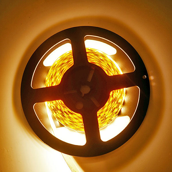 12V LED Strip Lights – Wholesale LEDs