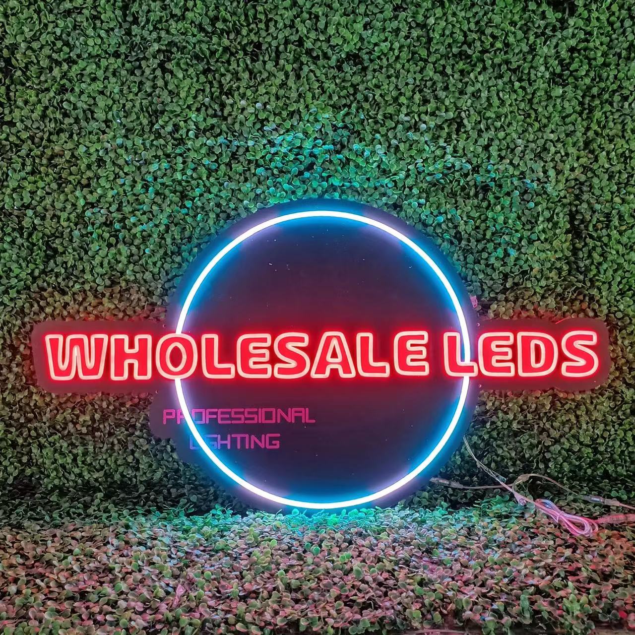 Wholesale LEDs Buy Bulk LED Light Strips Neon LEDs Stage Lights