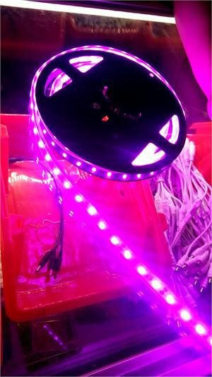 12V LED Strip Lights ~ 12V Single Color Light Strips ~ 5050SMD Single Color ~ 5050 Single Color LED Kit - 5050SMD NovaBright Pink Flexible Waterproof LED Light  Strip 16 Ft Reel Kit