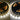 Nova Bright Eclipse-T3 Dual Color CCT CRI 95+ LED Strip Light 2 IN 1 Chip Warm White 3200K + White 5600K 12V UL 5050SMD IP20 Reel - HOLLYWOOD LEDS